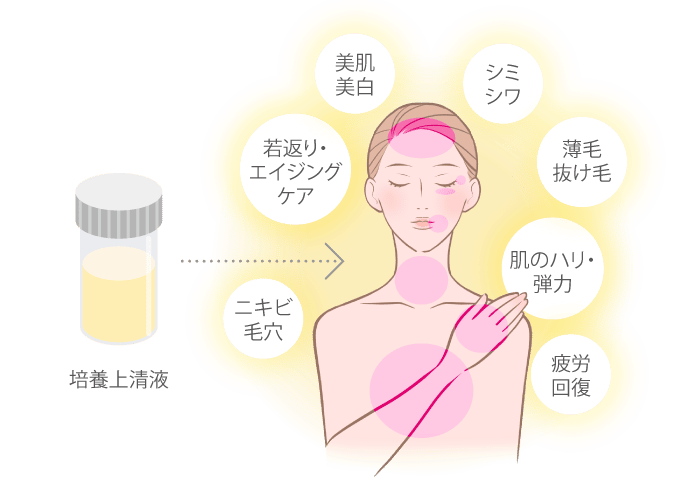 渋谷美容外科オリジナル Ｙ式サイトカイン注射(上清液)で期待できる効果